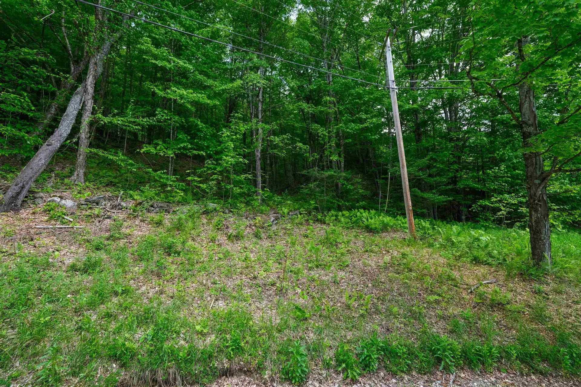 0 East Ash Road Plymouth VT 05056