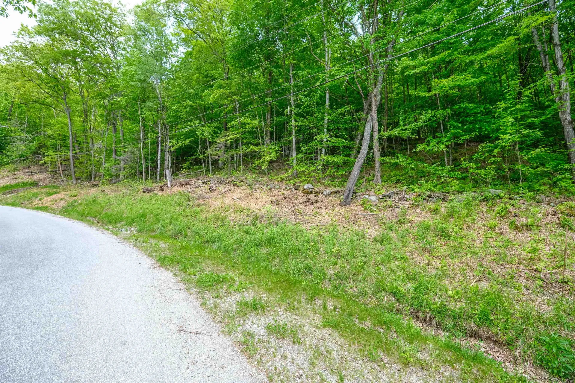 0 East Ash Road Plymouth VT 05056