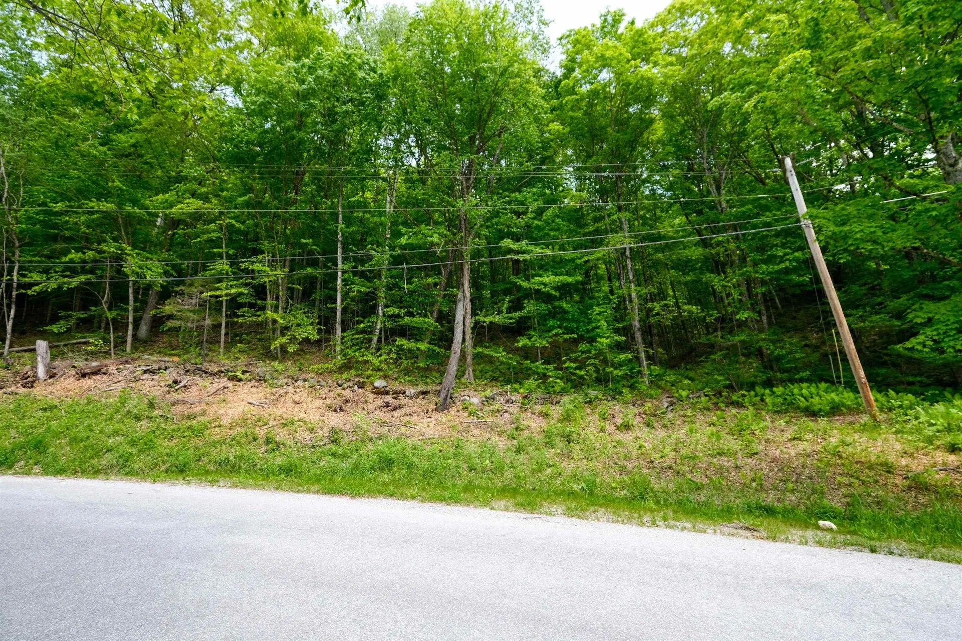 0 East Ash Road Plymouth VT 05056