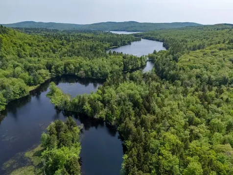 16 Mckinnon Road Washington NH 03280