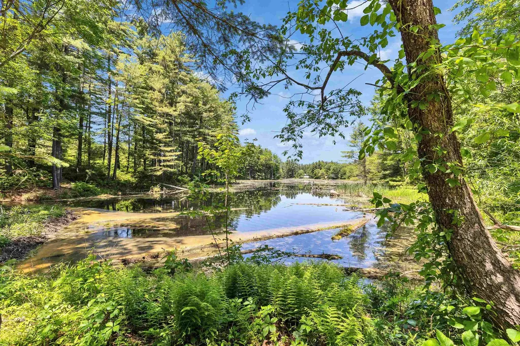 11 Mayflower Drive Merrimack NH 03054