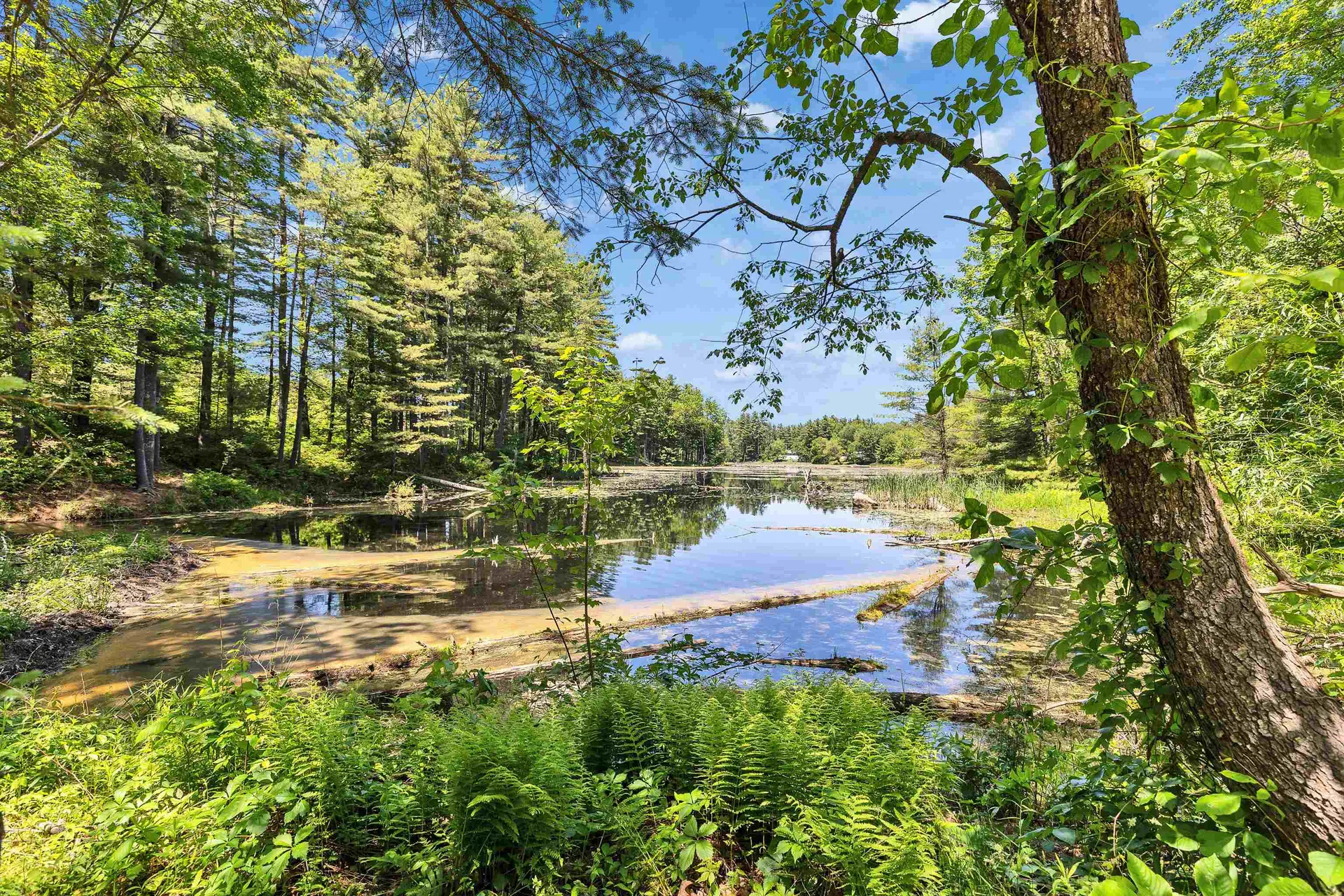 11 Mayflower Drive Merrimack NH 03054