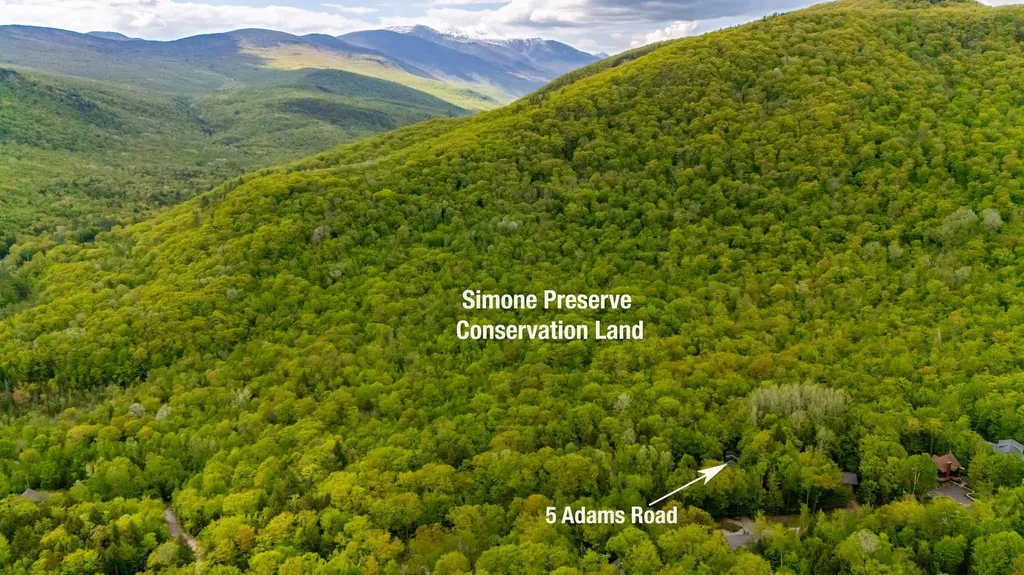 5 Adams Road Jackson NH 03846