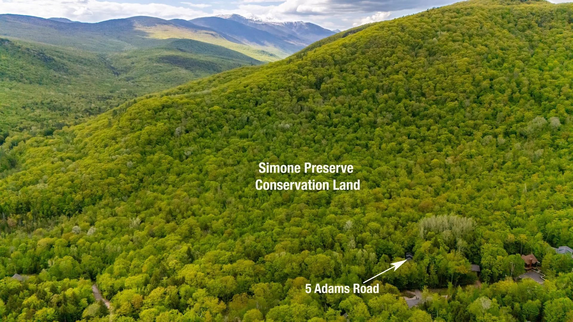 5 Adams Road Jackson NH 03846