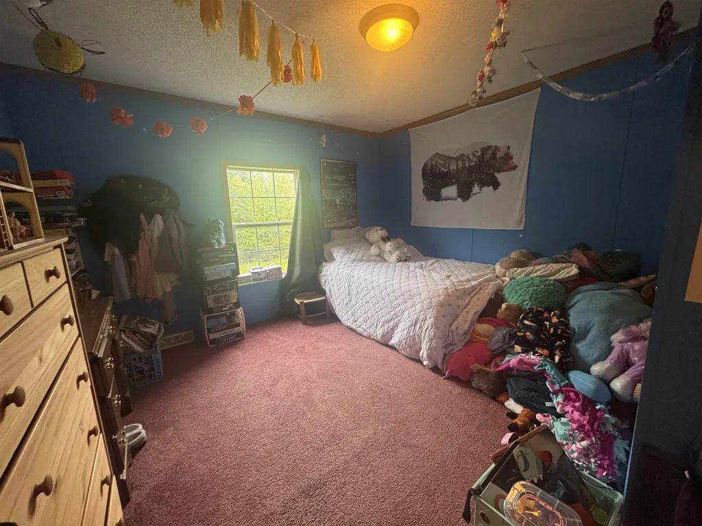 182 Frank's Way Middlesex VT 05602