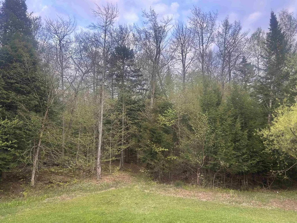 182 Frank's Way Middlesex VT 05602