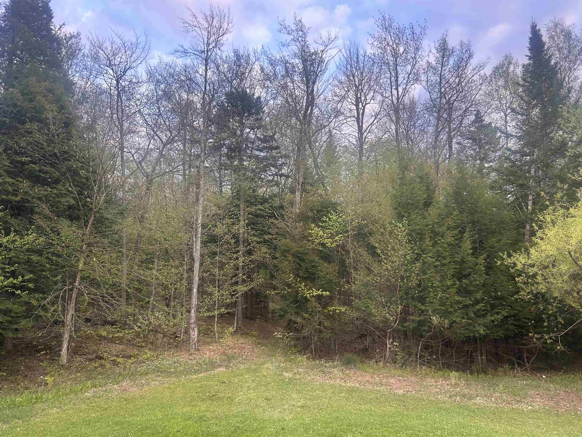 182 Frank's Way Middlesex VT 05602