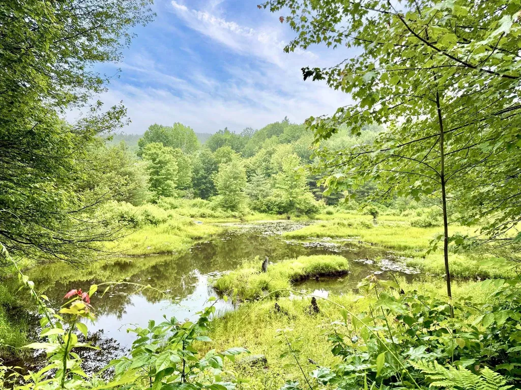 14 Coach Road Greenfield NH 03047