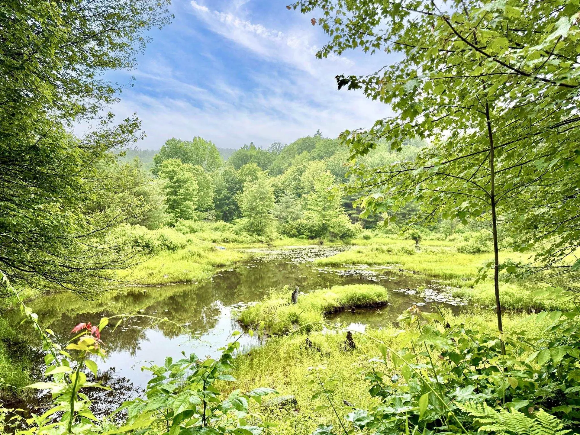 14 Coach Road Greenfield NH 03047