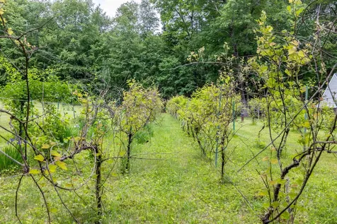 146 Old Sandown Road Chester NH 03036