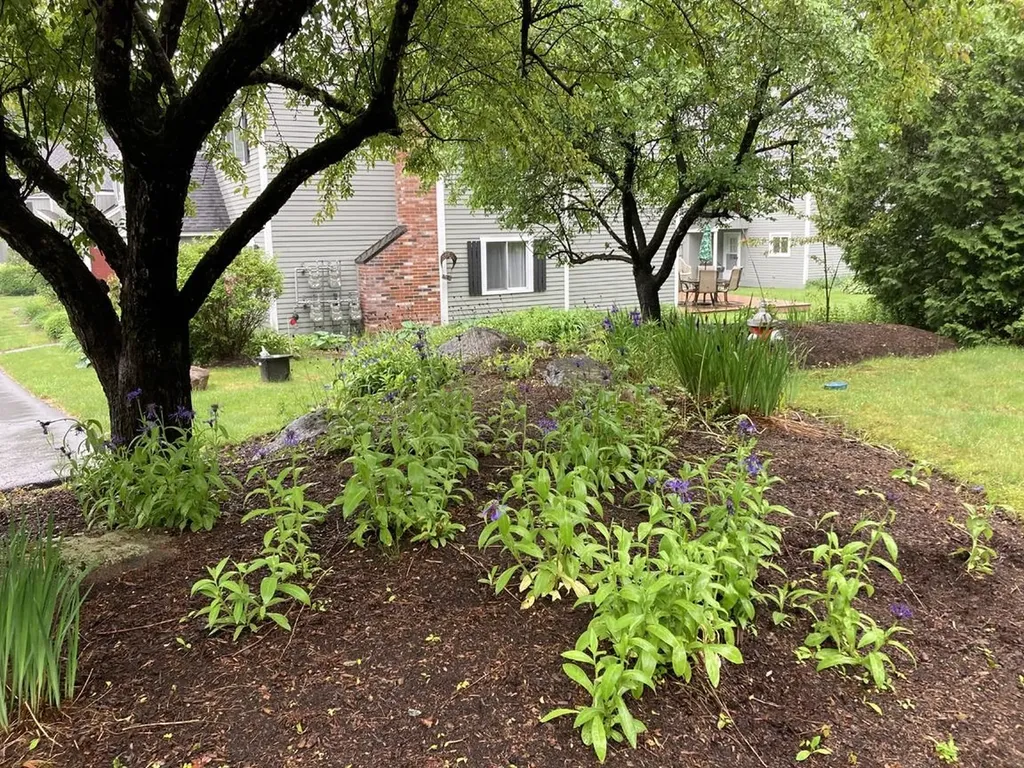 6 Monroe Drive Woodstock NH 03282