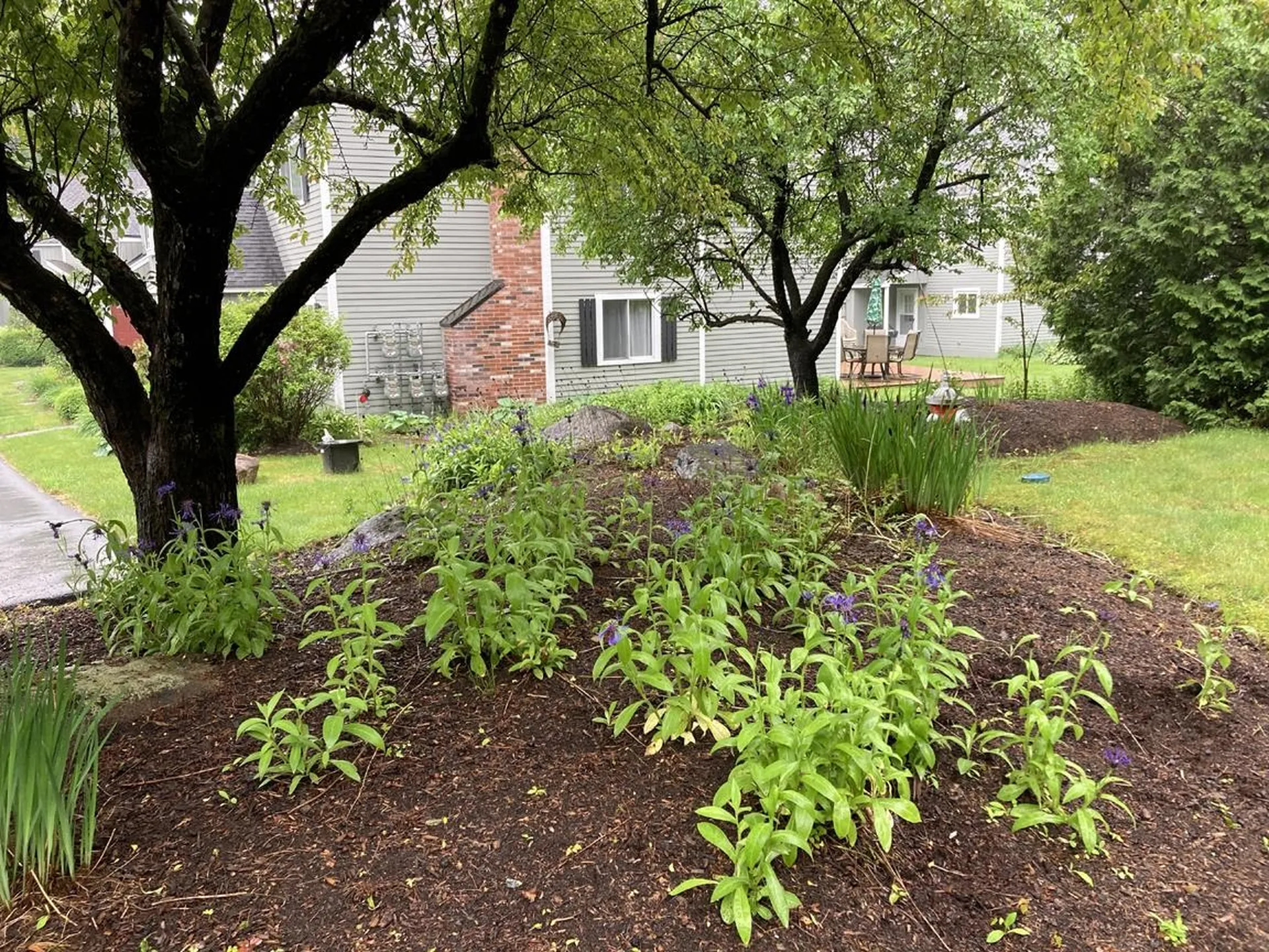 6 Monroe Drive Woodstock NH 03282