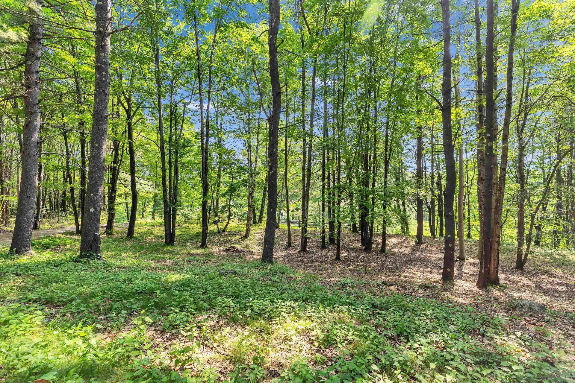 133 Hay Hill Road Francestown NH 03043