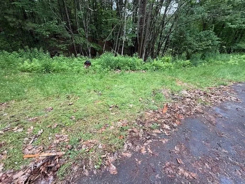 224 East Dunbarton Road Goffstown NH 03045