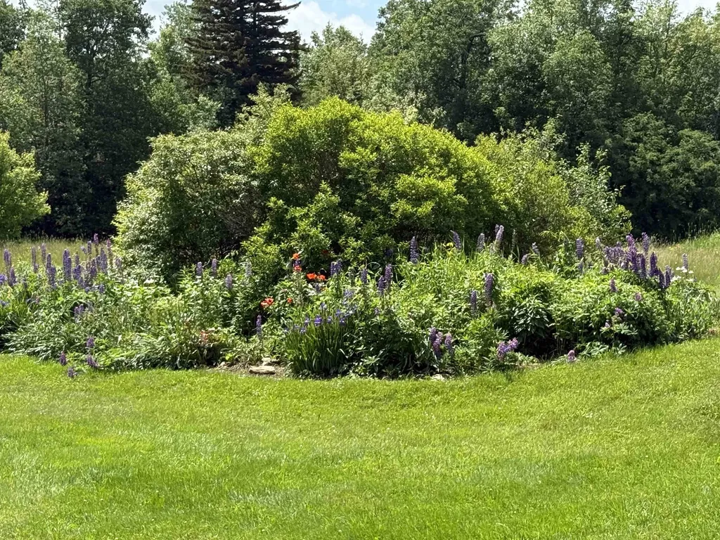 111 Cooper Hill Road Dover VT 05356