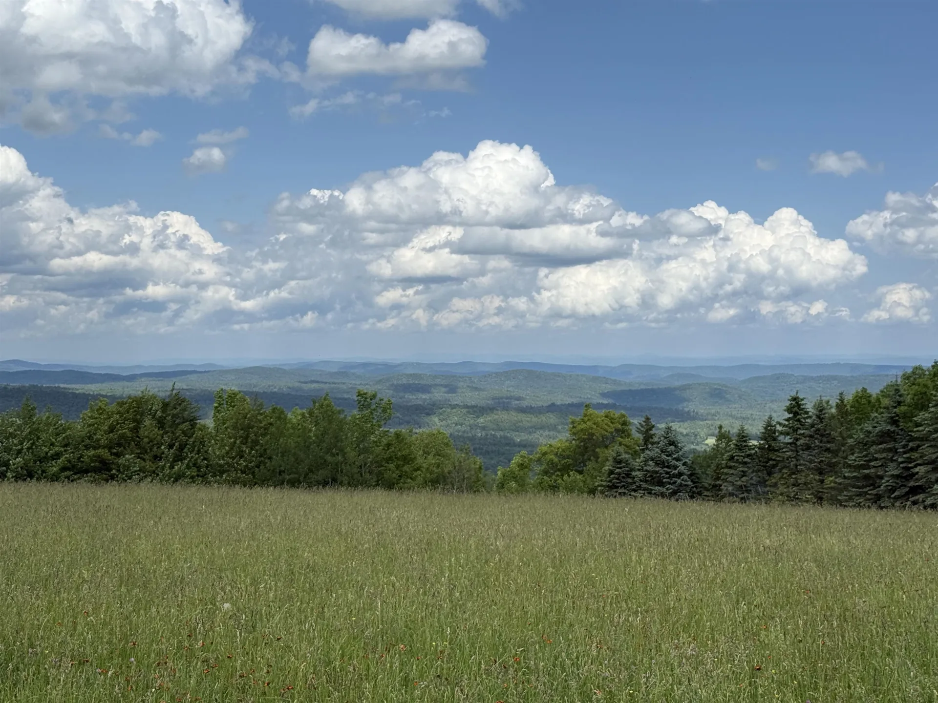 111 Cooper Hill Road Dover VT 05356