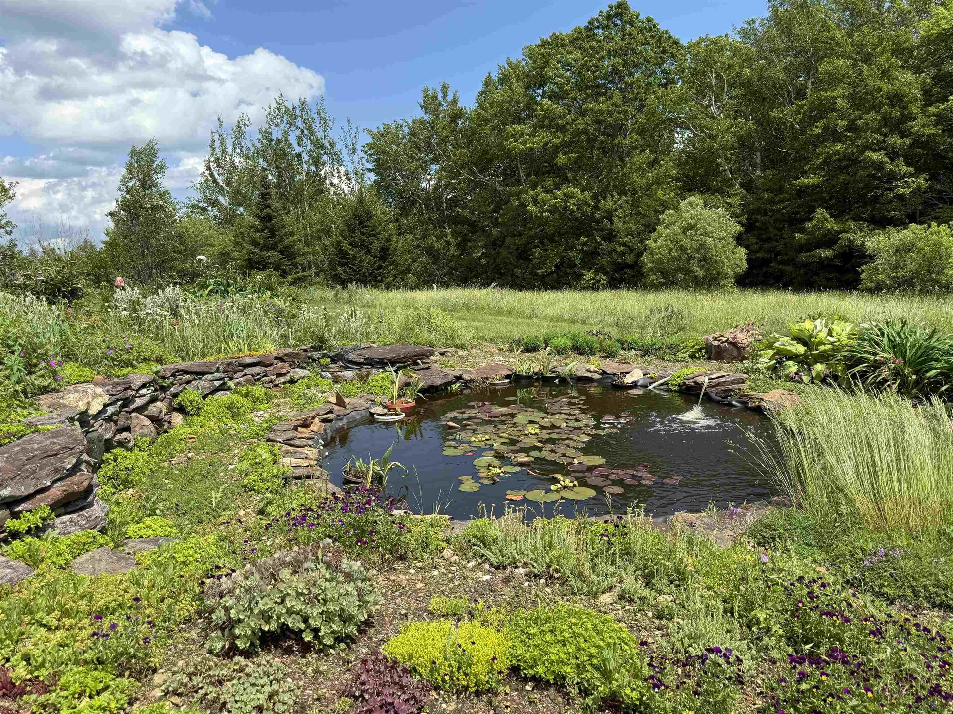 111 Cooper Hill Road Dover VT 05356