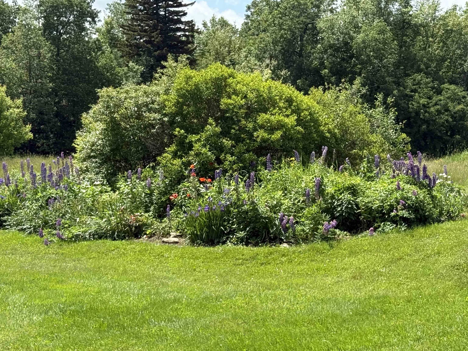 111 Cooper Hill Road Dover VT 05356