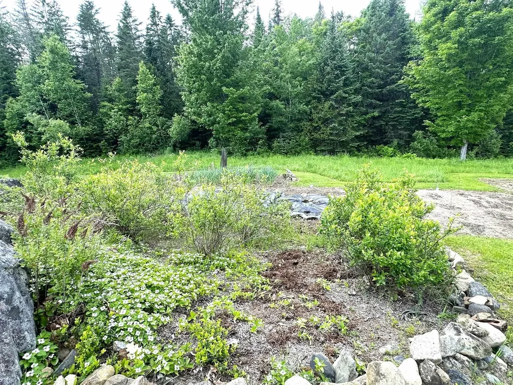 491 Taylor Road Greensboro VT 05842