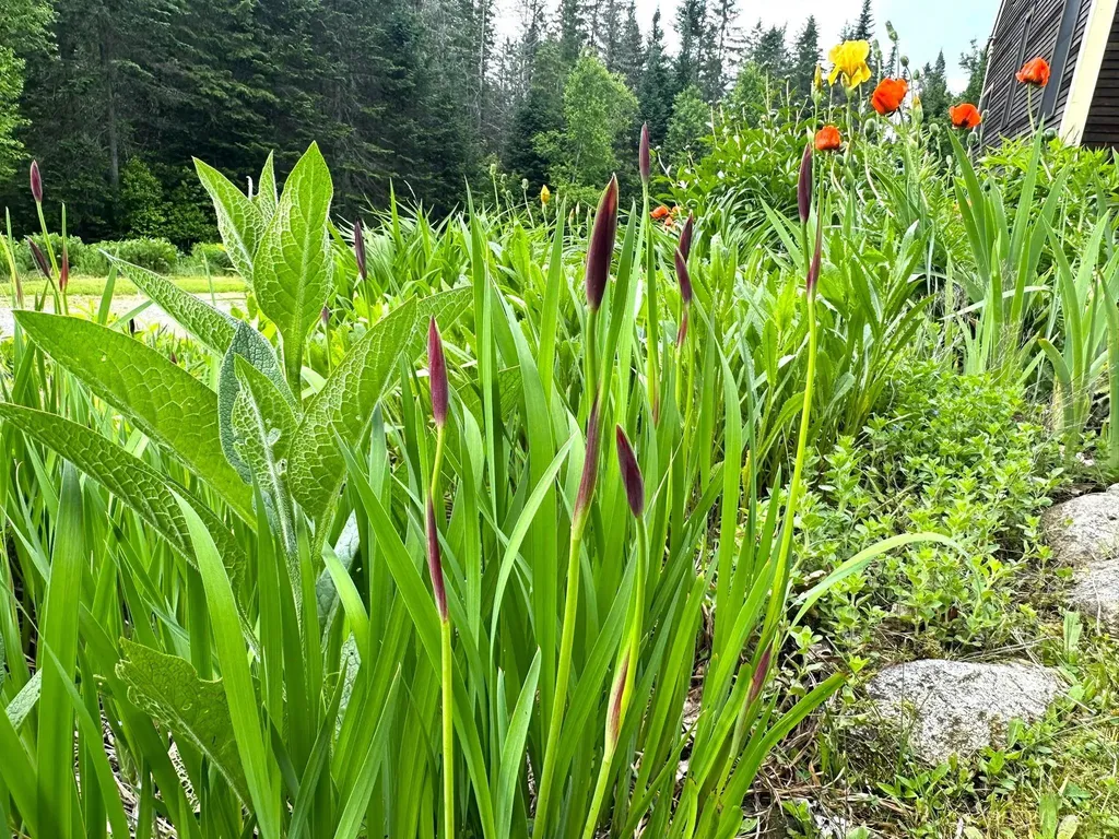 491 Taylor Road Greensboro VT 05842