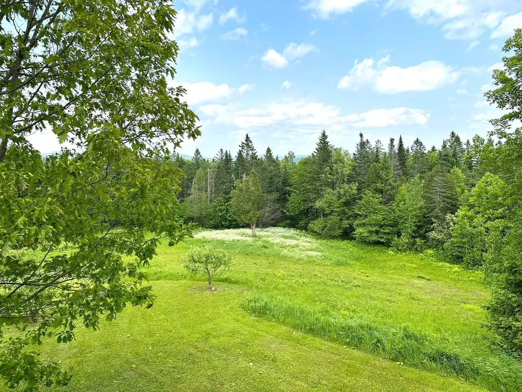 491 Taylor Road Greensboro VT 05842