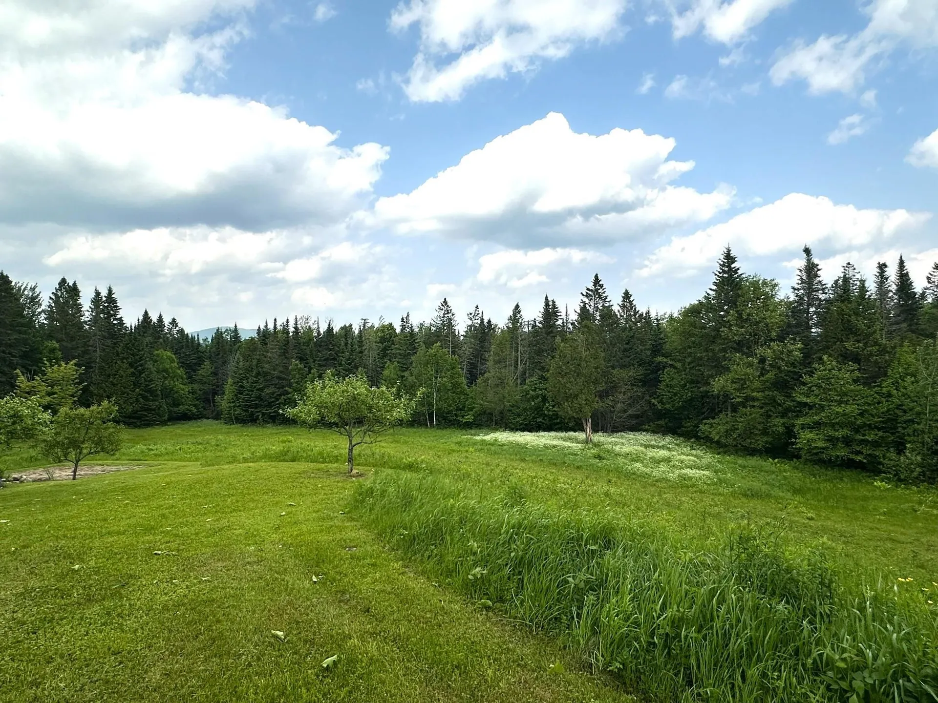 491 Taylor Road Greensboro VT 05842