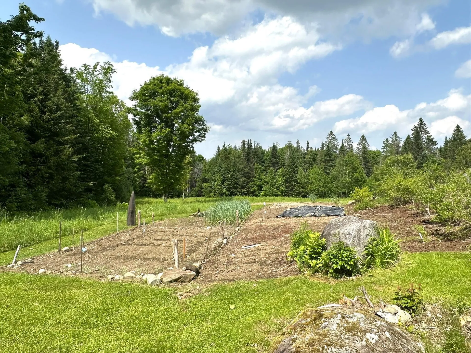 491 Taylor Road Greensboro VT 05842