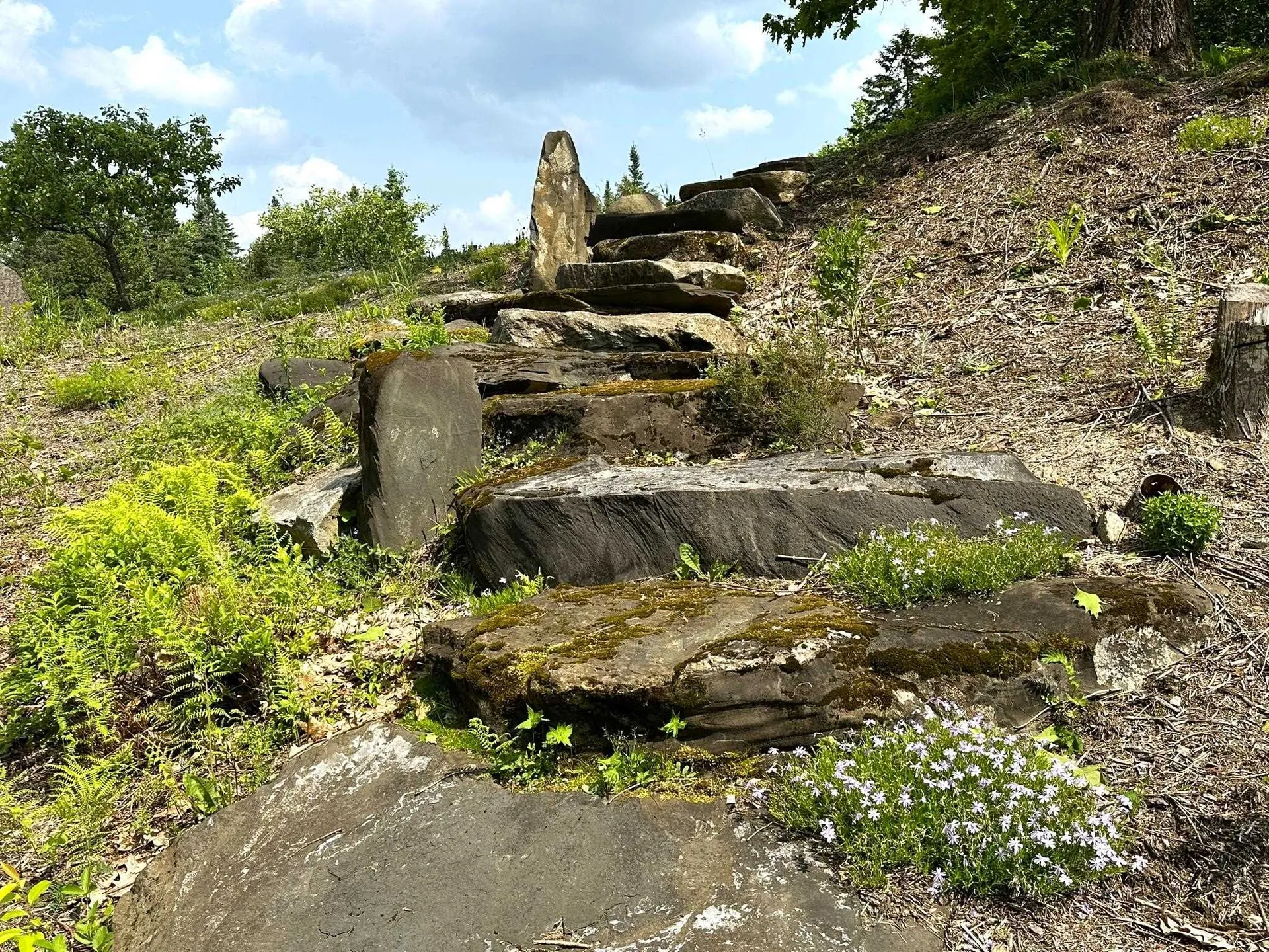 491 Taylor Road Greensboro VT 05842