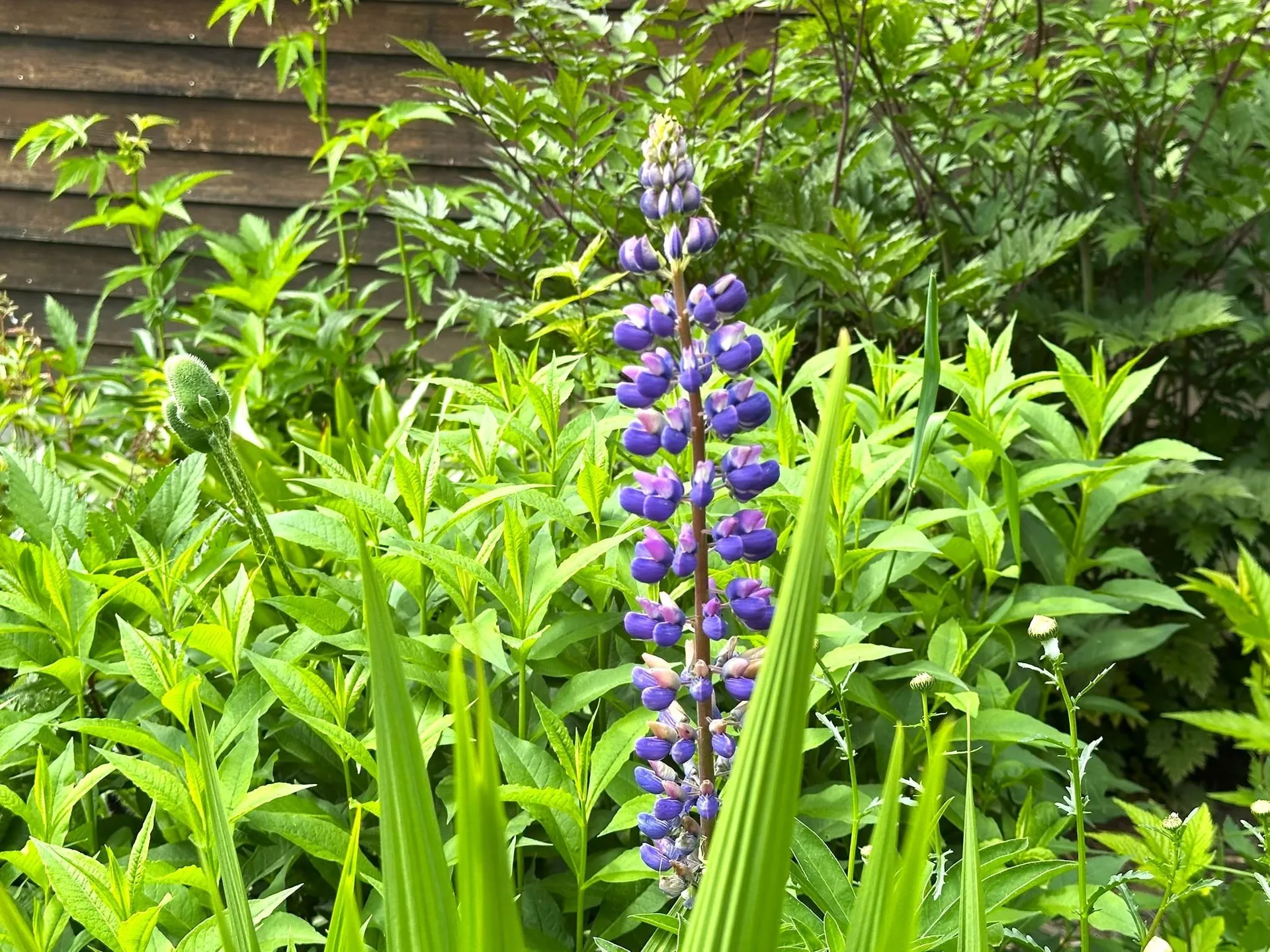 491 Taylor Road Greensboro VT 05842