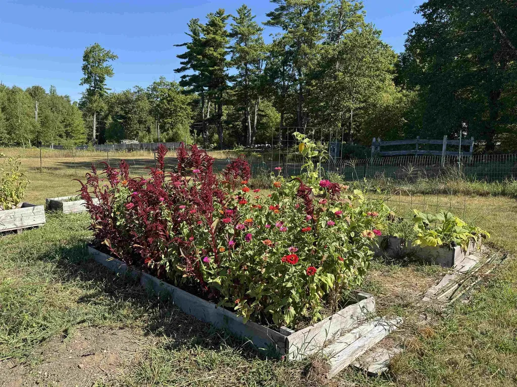 45 Effingham Road Ossipee NH 03864