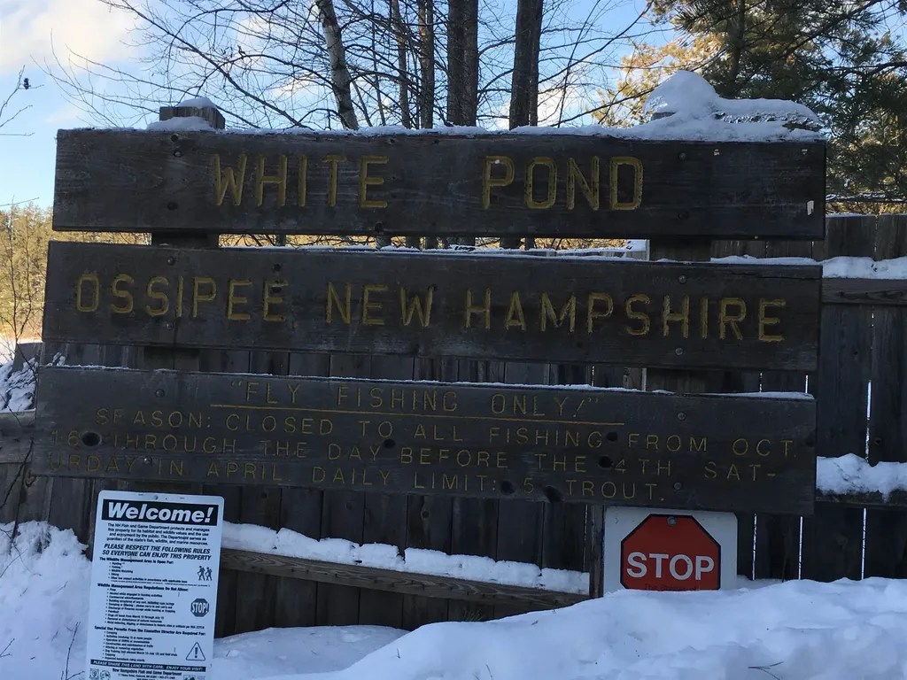 45 Effingham Road Ossipee NH 03864