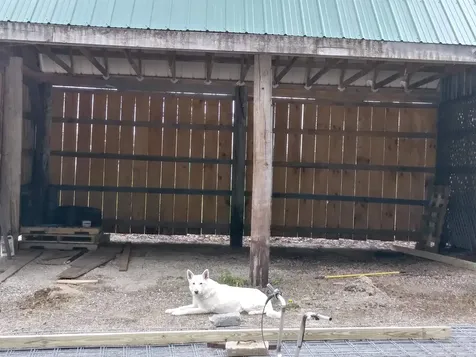 45 Effingham Road Ossipee NH 03864