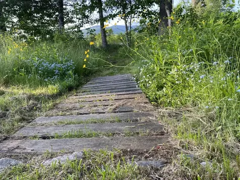 35 Cedric Road Jefferson NH 03583