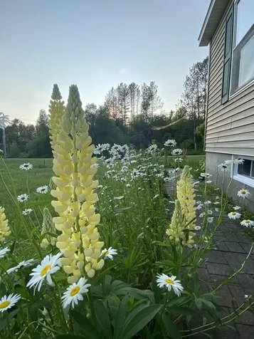 35 Cedric Road Jefferson NH 03583