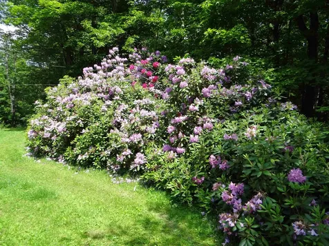 2505 County Road Windsor VT 05089