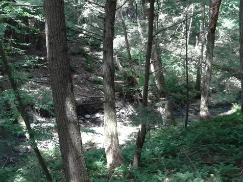 2505 County Road Windsor VT 05089