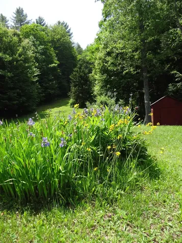 2505 County Road Windsor VT 05089