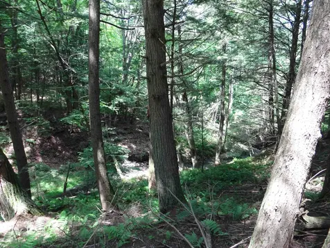 2505 County Road Windsor VT 05089