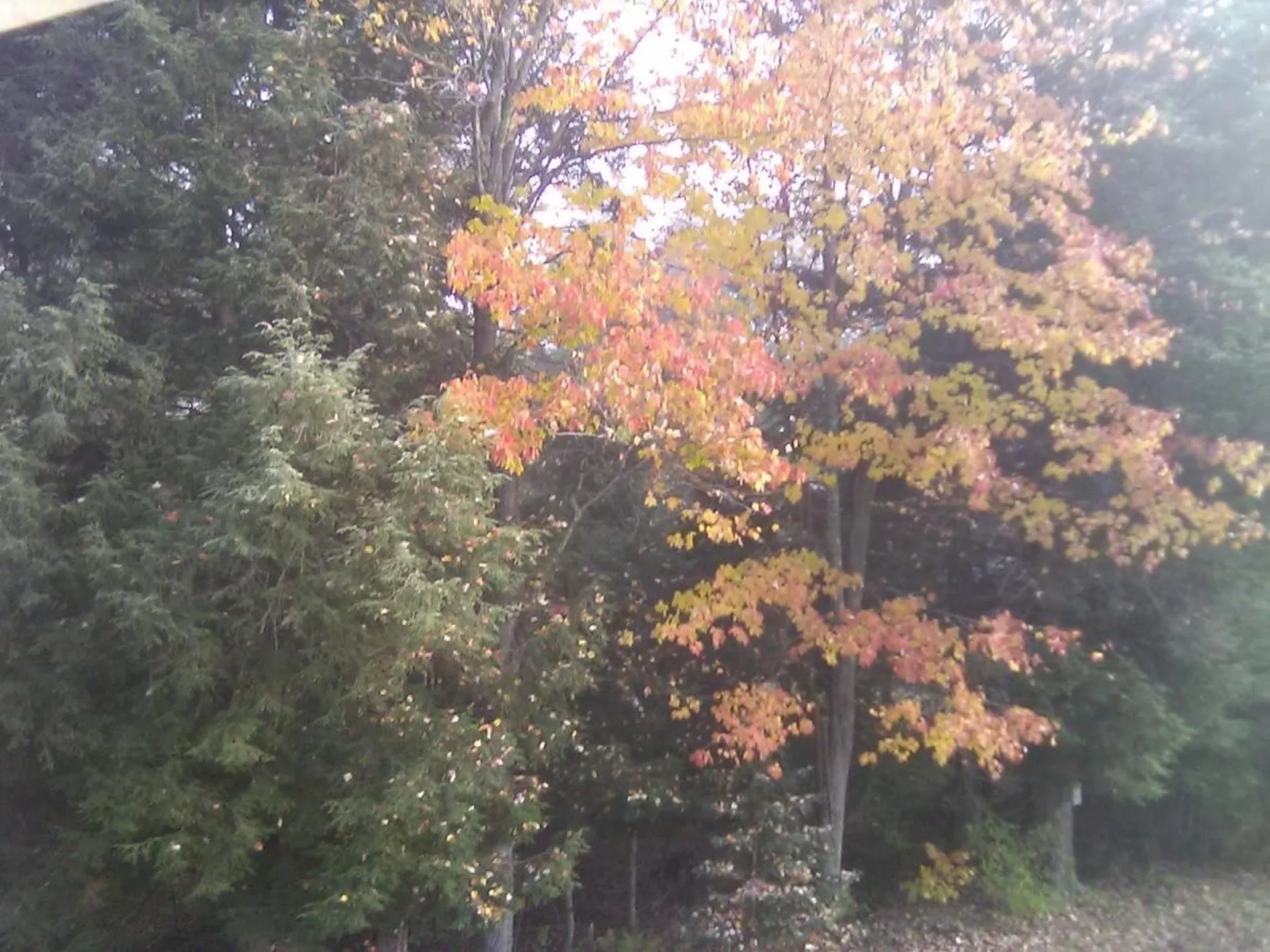 195 Beacon Hill Road Morristown VT 05661