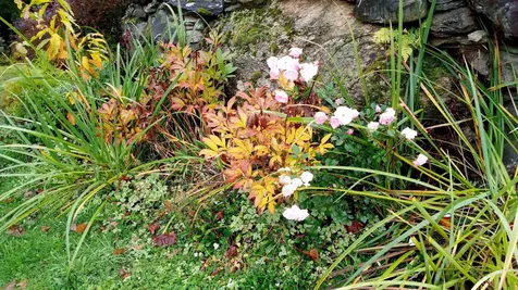 195 Beacon Hill Road Morristown VT 05661