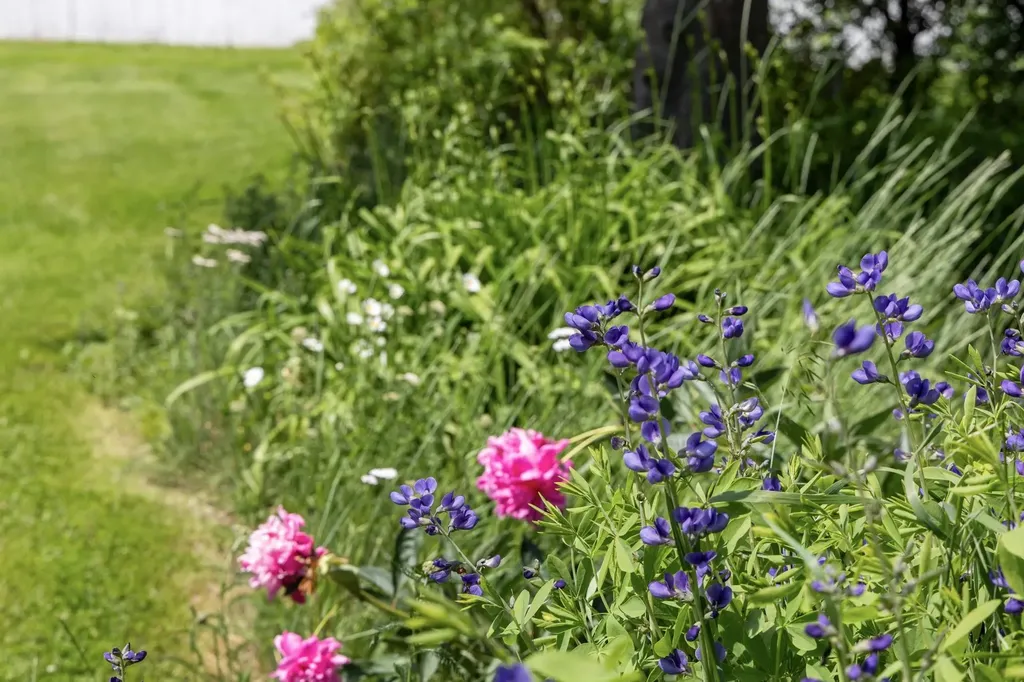 77 Sundown Drive Williston VT 05495