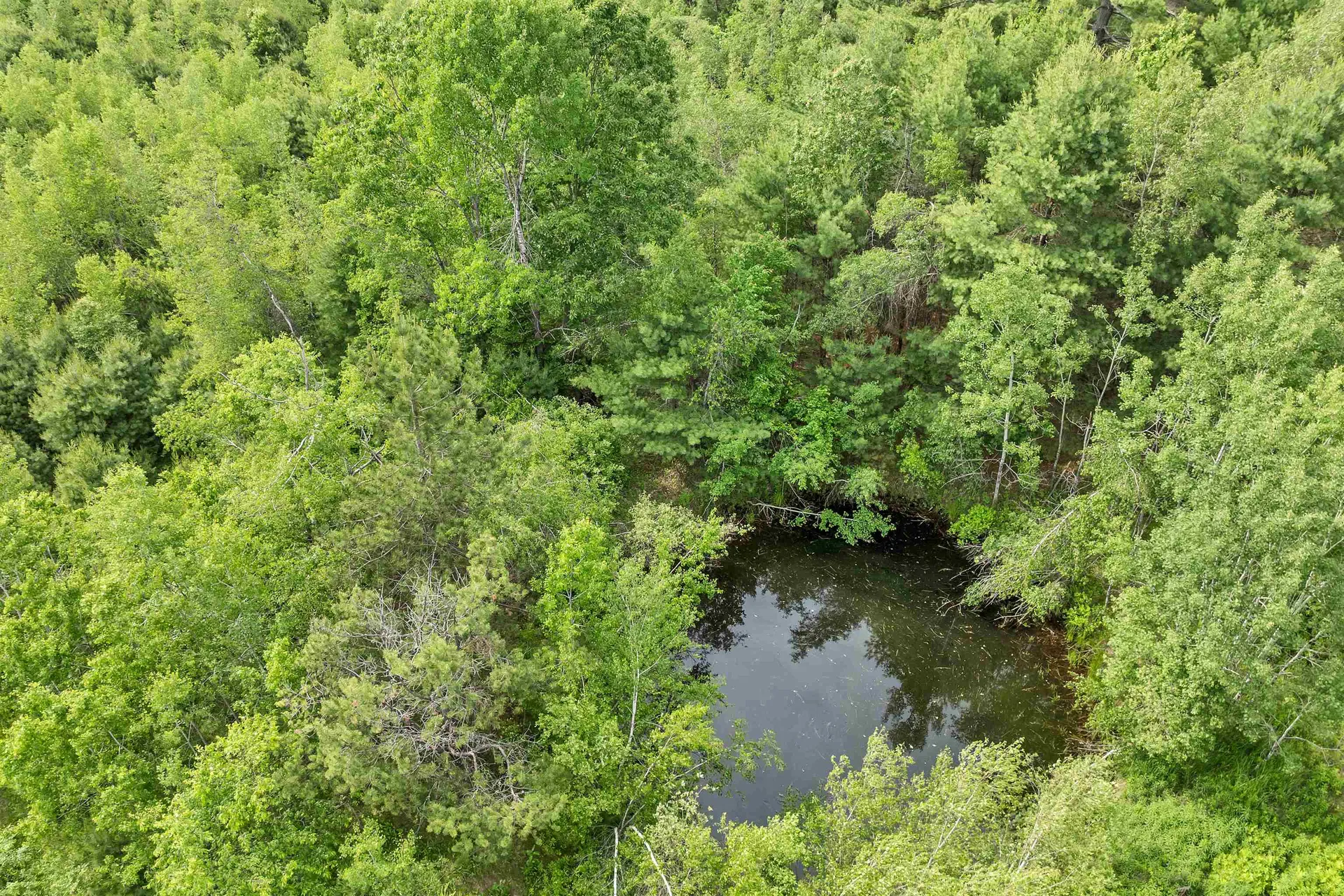 106 Stevens Road Effingham NH 03882