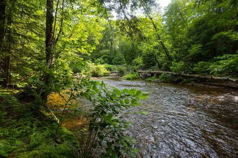 527 Tamworth Road Tamworth NH 03886