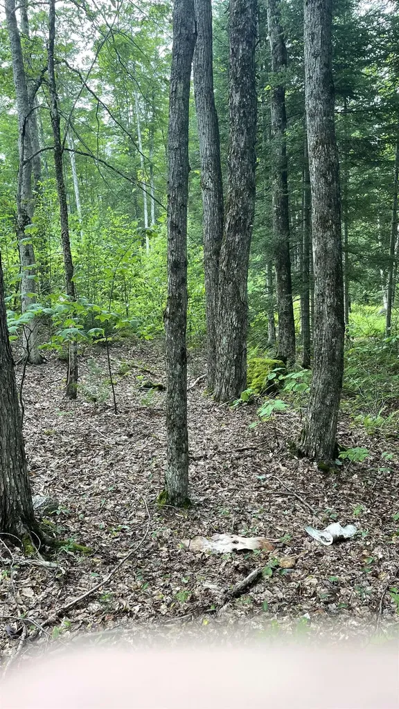 961 Maple Street Bethlehem NH 03574