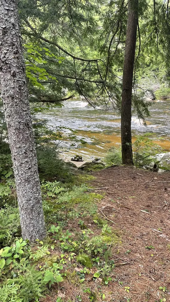 961 Maple Street Bethlehem NH 03574