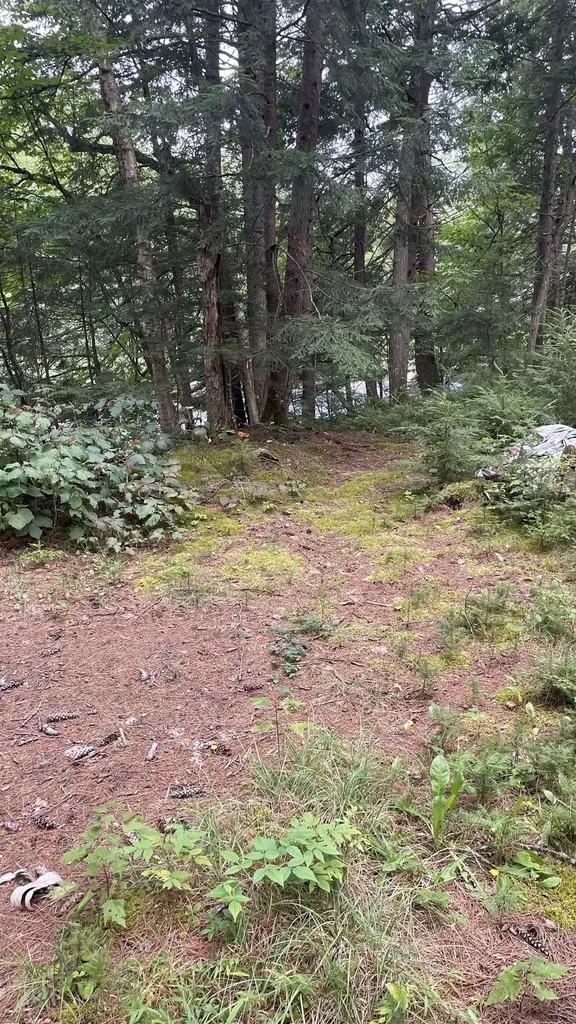 961 Maple Street Bethlehem NH 03574