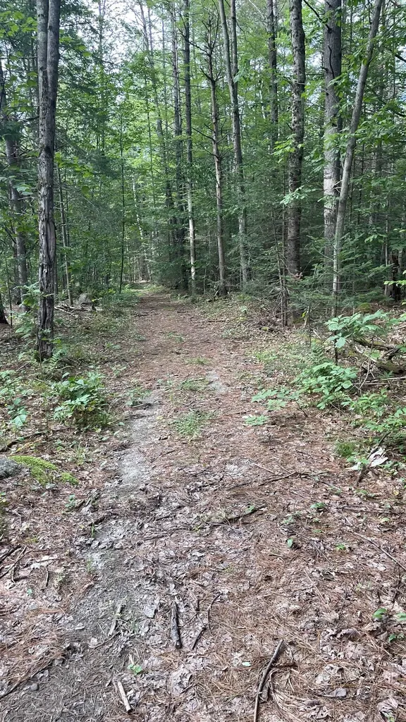 961 Maple Street Bethlehem NH 03574