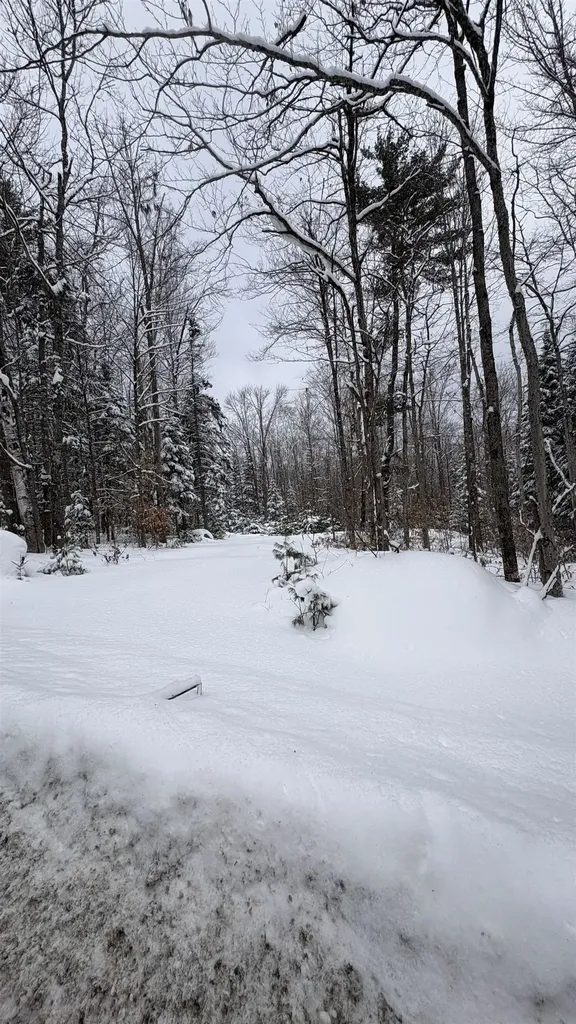 961 Maple Street Bethlehem NH 03574