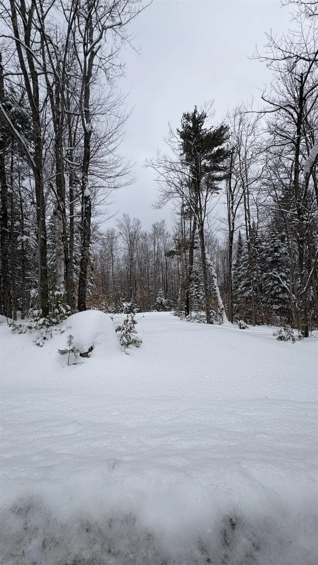 961 Maple Street Bethlehem NH 03574