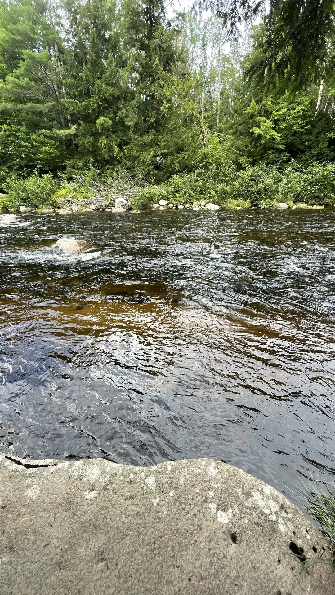 961 Maple Street Bethlehem NH 03574